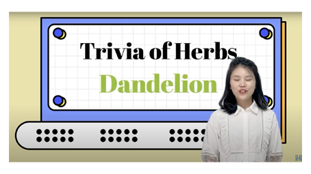 cover dandelion.png