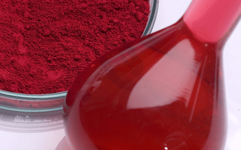 The initial report on the application of Hibiscus pigment as a red edible natural pigment 