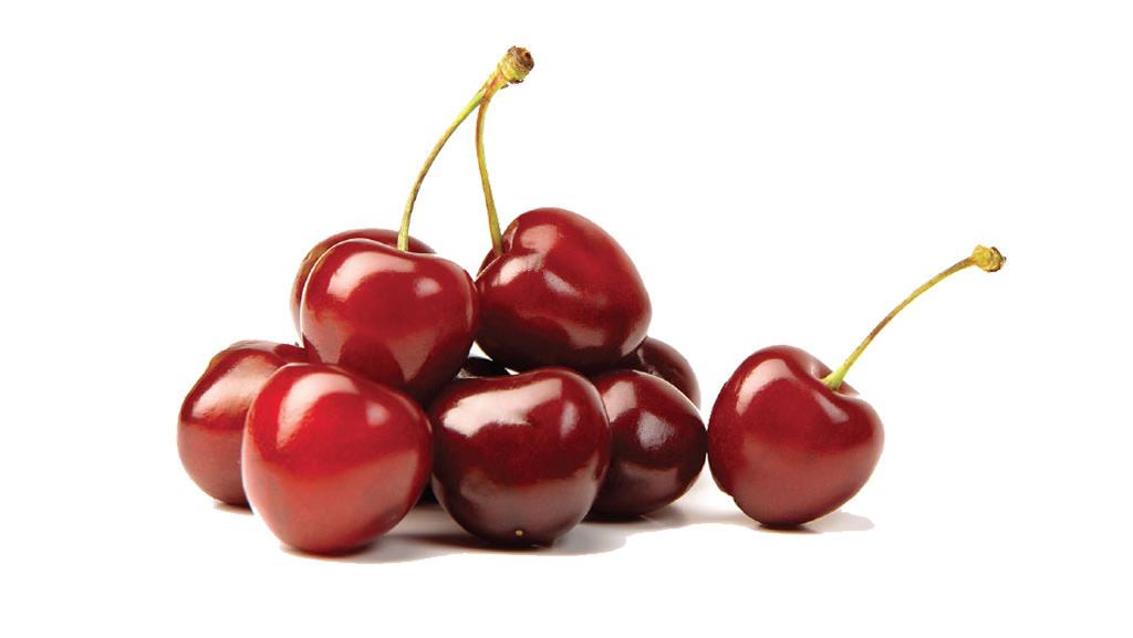 Tart cherry Extract 